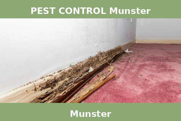 PEST CONTROL Munster